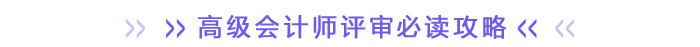 高級會計師評審必讀攻略 高級會計師評審必讀攻略
