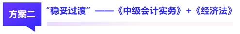 中級會計方案二 中級會計方案二