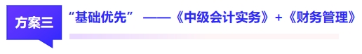 中級會計方案三 中級會計方案三