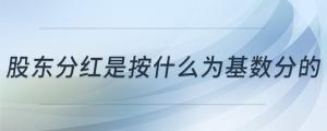 股東分紅是按什么為基數分的